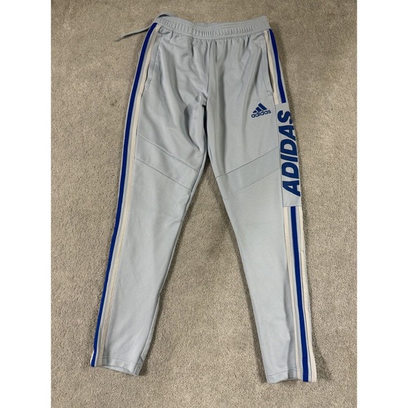 Adidas Women's Tiro‎ 19 Soccer Training Pants Glow Blue/Real Blue Small EUC - Picture 1 of 8